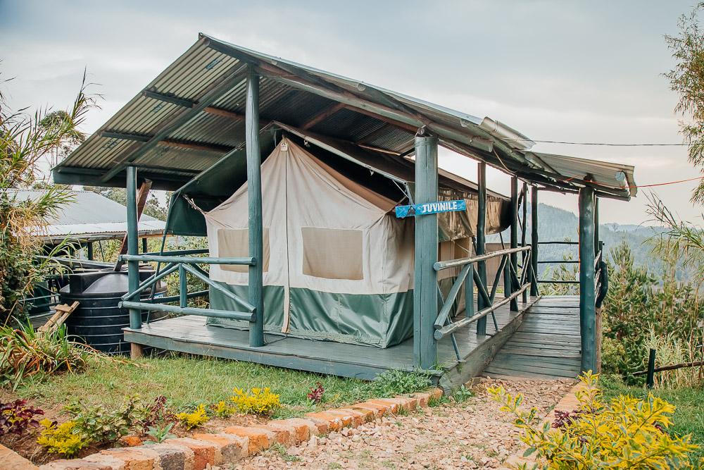 Ruhija-Gorilla-friends-resort-campsite
